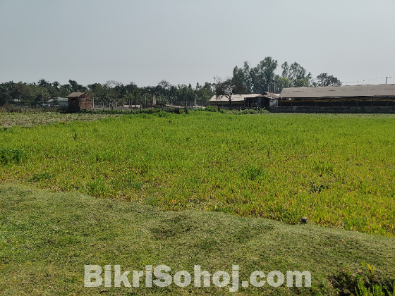 প্লট আকারে ১০ শতক জমি বিক্রি করা হবে